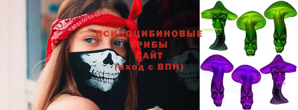 прущая мука Алзамай