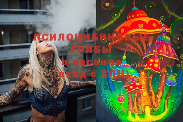 бутират Алексин