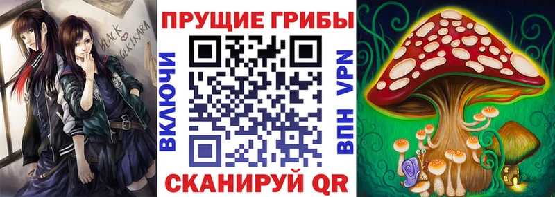 KRAKEN рабочий сайт  Алупка  Псилоцибиновые грибы Psilocybe  где купить наркоту 